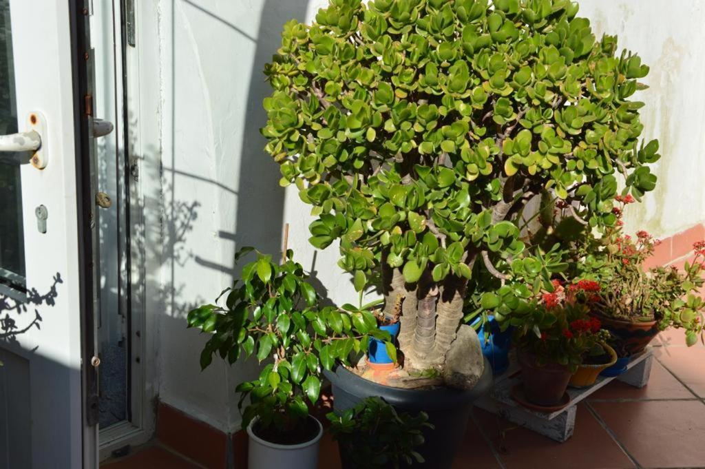 B&B Spiraglio Syracuse Buitenkant foto